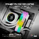 916NZ5OX0DL._AC_SL1500_.webp