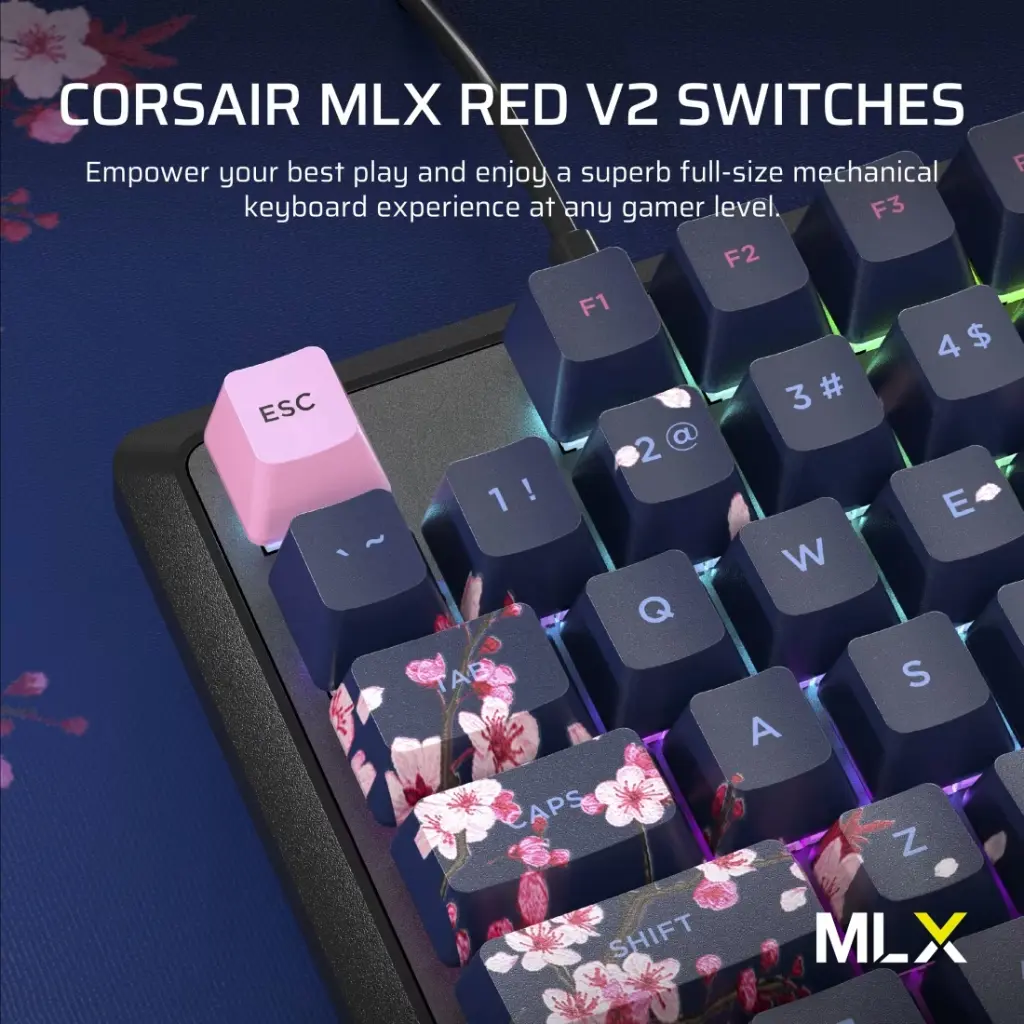 K70_CORE_SE_DKCHERRY_04.webp
