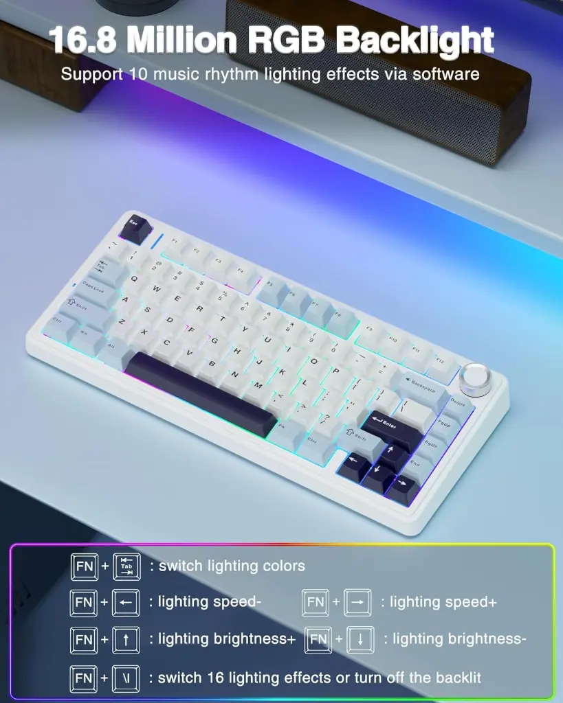 71U5JPvvi0L._AC_SL1500_.webp